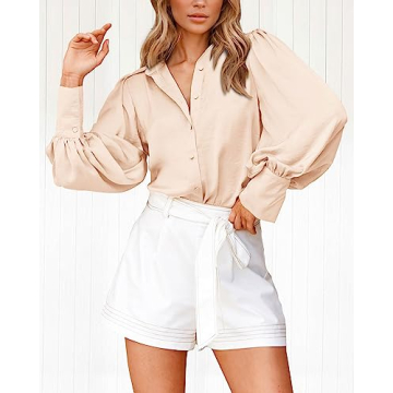 Women's Satin Blouse Long Sleeve V-Neck Office Top