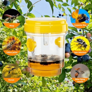 Eco-Friendly Wasp Traps - 3 Pack for Outdoor Use