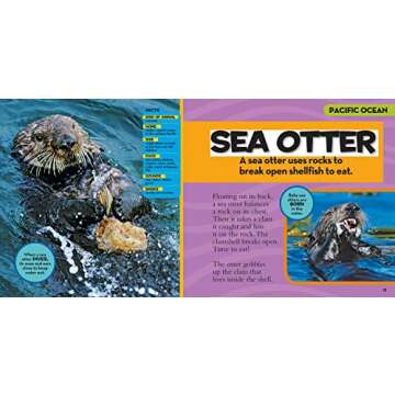 National Geographic Little Kids First Big Book of the Ocean (National Geographic Little Kids First B...