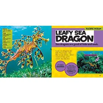 National Geographic Little Kids First Big Book of the Ocean (National Geographic Little Kids First Big Books)