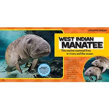 National Geographic Little Kids First Big Book of the Ocean (National Geographic Little Kids First Big Books)