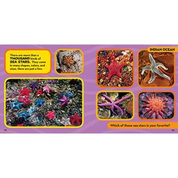 National Geographic Little Kids First Big Book of the Ocean (National Geographic Little Kids First Big Books)