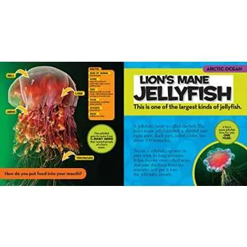 National Geographic Little Kids First Big Book of the Ocean (National Geographic Little Kids First Big Books)