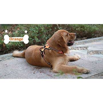 Chai's Choice Adventure Dog Harness for All Breeds