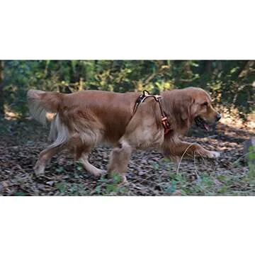 Chai's Choice Adventure Dog Harness for All Breeds