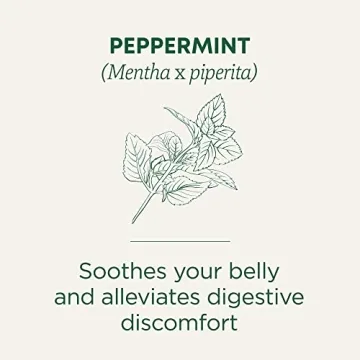 Organic Peppermint Tea for Digestive Health - 96 Bags