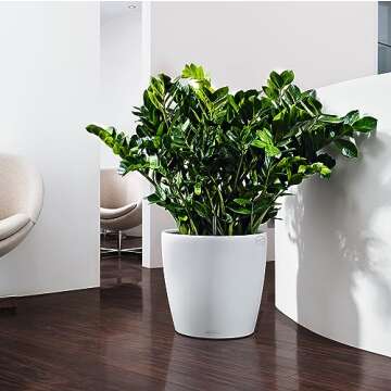 Lechuza 13230 Classico Color 43 Self-Watering Indoor and Outdoor Use, 17" x 16", White Matte Planter