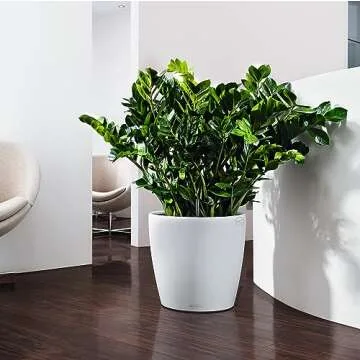 Lechuza 13230 Classico Color 43 Self-Watering Indoor and Outdoor Use, 17" x 16", White Matte Planter