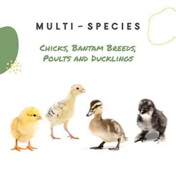 Manna Pro Chick Grit for Happy Healthy Poultry