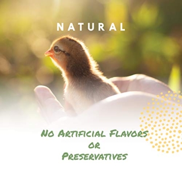 Manna Pro Chick Grit for Happy Healthy Poultry