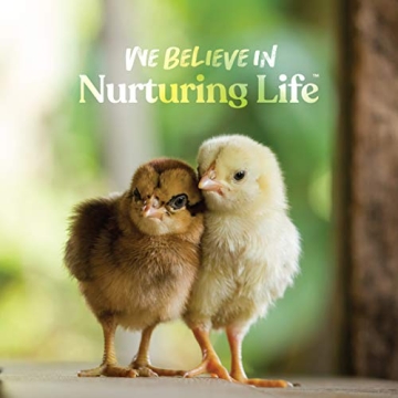 Manna Pro Chick Grit for Happy Healthy Poultry