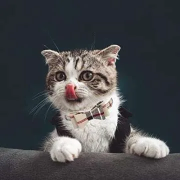 Stylish PUPTECK Puppy Collars with Bell for Small Pets