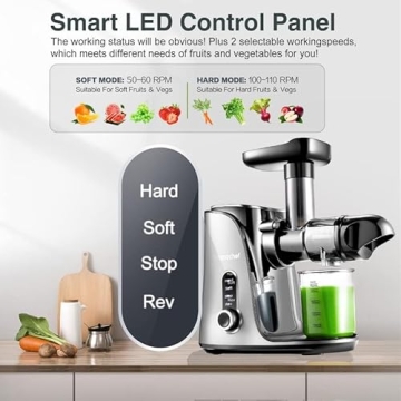 AMZCHEF Slow Masticating Juicer - 2 Speed Modes & Quiet Motor