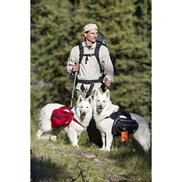 RC Pet Products Pocket Pet First Aid Kit