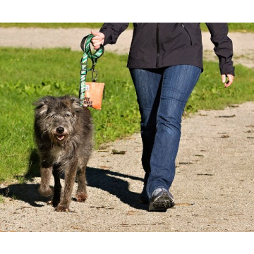 RC Pet Products Pocket Pet First Aid Kit