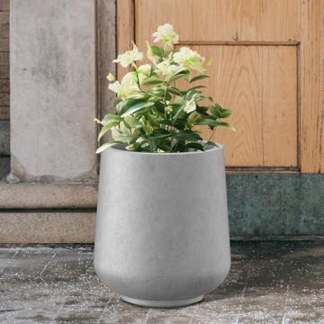 Stylish Kante Round Concrete Planter for All Spaces