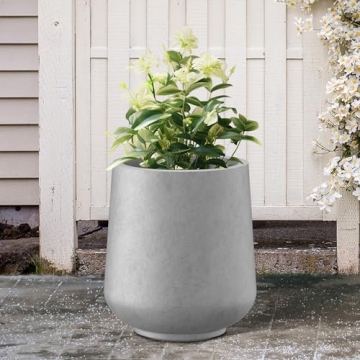 Stylish Kante Round Concrete Planter for All Spaces