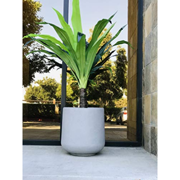 Stylish Kante Round Concrete Planter for All Spaces