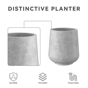 Stylish Kante Round Concrete Planter for All Spaces
