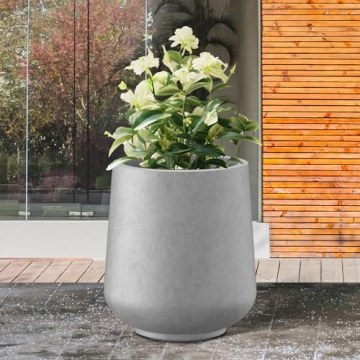 Stylish Kante Round Concrete Planter for All Spaces