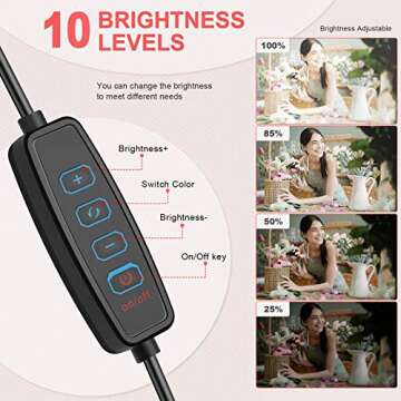 Hagibis Video Conference Lighting Kit,Computer/Laptop Moniter LED Video Light Dimmable 6500K Ring Light for Remote Working,Zoom Call,Self Broadcasting,Live Streaming