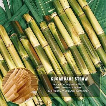 SHAUMN 200pcs Sugarcane Straws Biodegradable 8 Inch Compostable Straws Disposable Drinking Straws Plastic Free Sturdy Smoothie Straws for Home Restaurant Parties Not Foggy