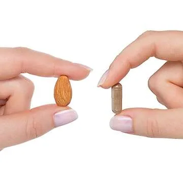 Seeking Health Ashwagandha Extract, Potent 467 mg Natural Ashwagandha with 5% Withanolide, Supports Balanced Mood, Focus, and Sleep, Vegan and Vegetarian (60 Capsules)*