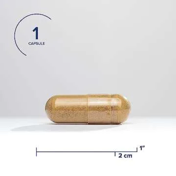 Seeking Health Ashwagandha Extract, Potent 467 mg Natural Ashwagandha with 5% Withanolide, Supports Balanced Mood, Focus, and Sleep, Vegan and Vegetarian (60 Capsules)*