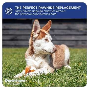 Downtown Pet Supply - Jumbo Pig Ears - Dog Dental Treats & Rawhide-Free Dog Chews - Healthy Coat & Skin Care, Cholesterol & Heart Health Dog Treats - Protein, Vitamins & Minerals - 10 Pack