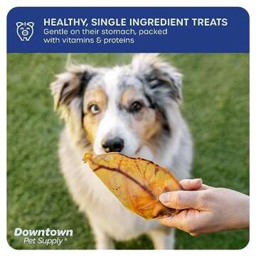 Downtown Pet Supply - Jumbo Pig Ears - Dog Dental Treats & Rawhide-Free Dog Chews - Healthy Coat & Skin Care, Cholesterol & Heart Health Dog Treats - Protein, Vitamins & Minerals - 10 Pack