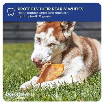 Downtown Pet Supply - Jumbo Pig Ears - Dog Dental Treats & Rawhide-Free Dog Chews - Healthy Coat & Skin Care, Cholesterol & Heart Health Dog Treats - Protein, Vitamins & Minerals - 10 Pack