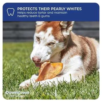 Downtown Pet Supply - Jumbo Pig Ears - Dog Dental Treats & Rawhide-Free Dog Chews - Healthy Coat & Skin Care, Cholesterol & Heart Health Dog Treats - Protein, Vitamins & Minerals - 10 Pack