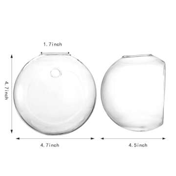 yarlung Set of 6 Wall Hanging Planters Terrarium, 4.7 Inch Glass Oblate Globe Plants Containers Wall Mount Clear Flower Vase for Propagating Hydroponics Plants, Air Plants (Plants Not Included)