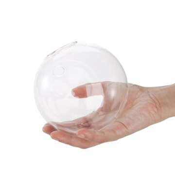 yarlung Set of 6 Wall Hanging Planters Terrarium, 4.7 Inch Glass Oblate Globe Plants Containers Wall Mount Clear Flower Vase for Propagating Hydroponics Plants, Air Plants (Plants Not Included)