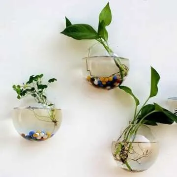 yarlung Set of 6 Wall Hanging Planters Terrarium, 4.7 Inch Glass Oblate Globe Plants Containers Wall Mount Clear Flower Vase for Propagating Hydroponics Plants, Air Plants (Plants Not Included)