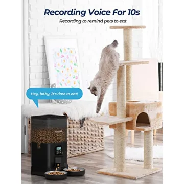 Voluas Double Automatic Cat Feeder for Two Cats with Timer