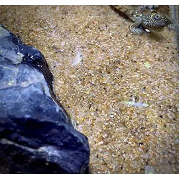 LANDEN Namale Aquarium Sand 2L(Approx 7 lbs), Super Natural for Aquarium Landscaping, Cosmetic Sand for Plant Tank, Fine Grain Natural Color River Sand for Freshwater or Blackwater Biotope Tank