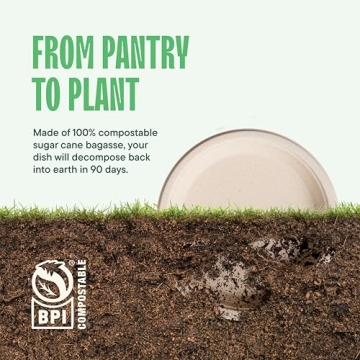 Eco-Friendly 100% Compostable Heavy-Duty Paper Plates