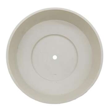 The HC Companies 8 Inch Round Plastic Succulent Capri Bowl Decorative Indoor Flower Succulent Planter Pot with Drain Plug Hole, Vanilla Bisque