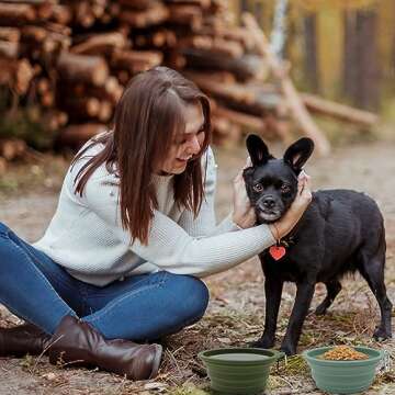 Collapsible Dog Travel Bowls - Portable Silicone Pet Dishes