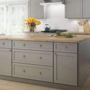 Franklin Brass Parow Cabinet Knob, 10 Pack for Modern Style