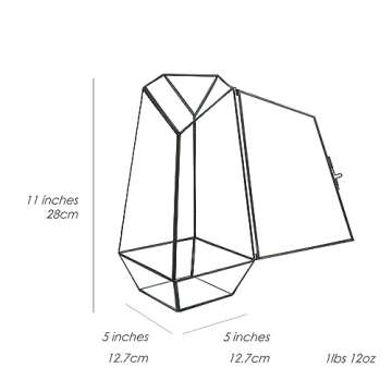 Geometric Glass Terrarium for Indoor Plants, Gifts Ideas