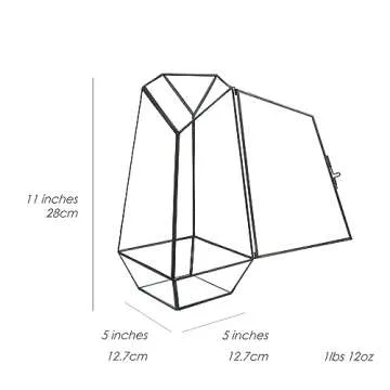 Geometric Glass Terrarium for Indoor Plants, Gifts Ideas