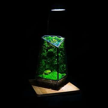 Geometric Glass Terrarium for Indoor Plants, Gifts Ideas