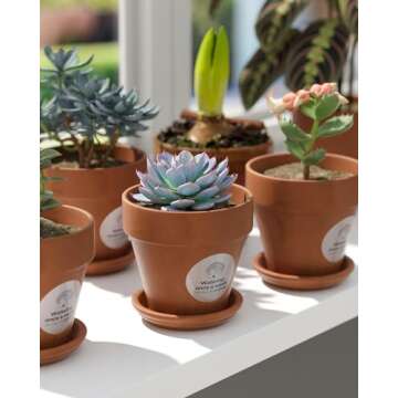 MUNBYN Glitter Thermal Labels for Small Businesses - 500 Roll