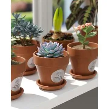 MUNBYN Glitter Thermal Labels for Small Businesses - 500 Roll