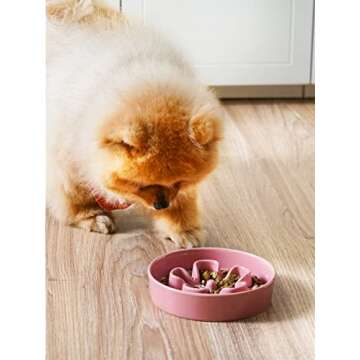 LE TAUCI Ceramic Slow Feeder Dog Bowls Small Breed, 0.6 Cups Dog Food Dish for Fast Eaters, Puzzle B...