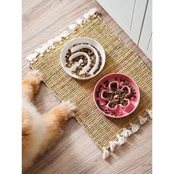LE TAUCI Ceramic Slow Feeder Dog Bowls Small Breed, 0.6 Cups Dog Food Dish for Fast Eaters, Puzzle Bowl for Small Dogs and Cats,Pink