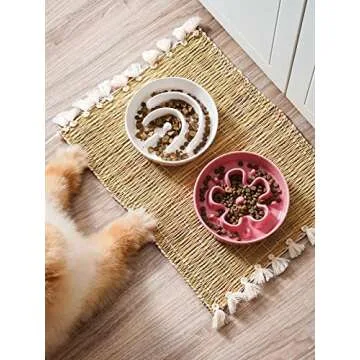 LE TAUCI Ceramic Slow Feeder Dog Bowls Small Breed, 0.6 Cups Dog Food Dish for Fast Eaters, Puzzle Bowl for Small Dogs and Cats,Pink