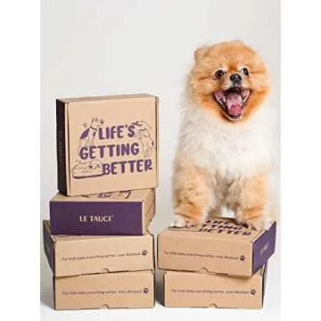 LE TAUCI Ceramic Slow Feeder Dog Bowls Small Breed, 0.6 Cups Dog Food Dish for Fast Eaters, Puzzle Bowl for Small Dogs and Cats,Pink